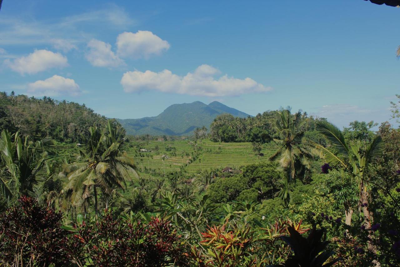 Pondok Lembah Dukuh Homestay Karangasem  Exterior photo
